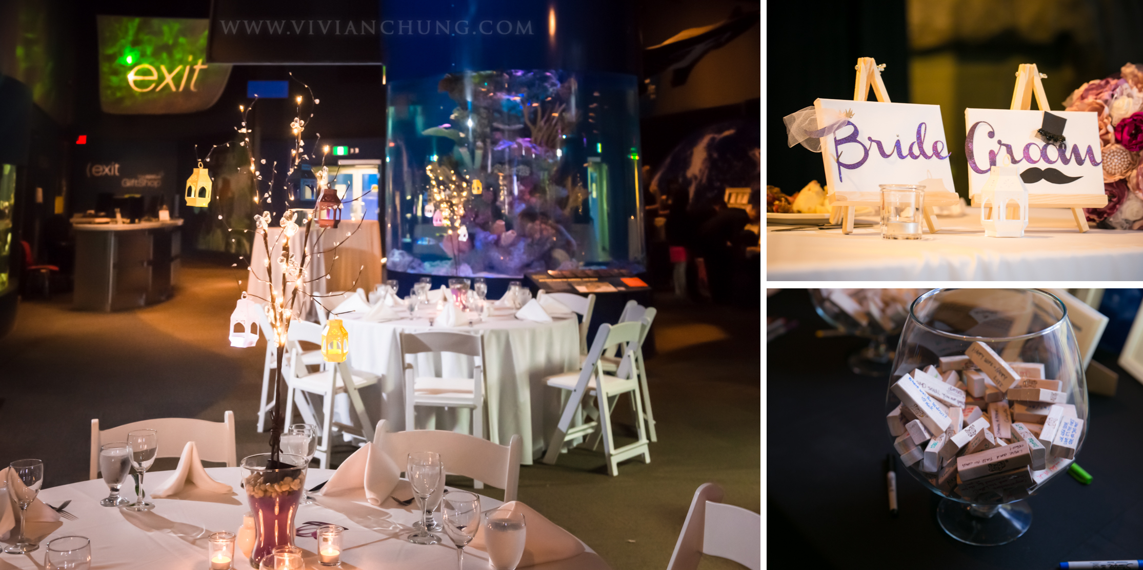 Shawn and michelle wedding, Vancouver Aquarium, Vancouver Aquarium Wedding